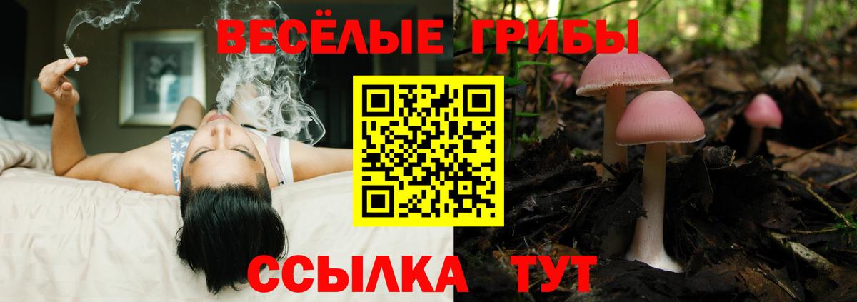 Галлюциногенные грибы MAGIC MUSHROOMS  Галлюциногенные грибы прущие грибы  Спасск-Дальний  Вход с VPN 