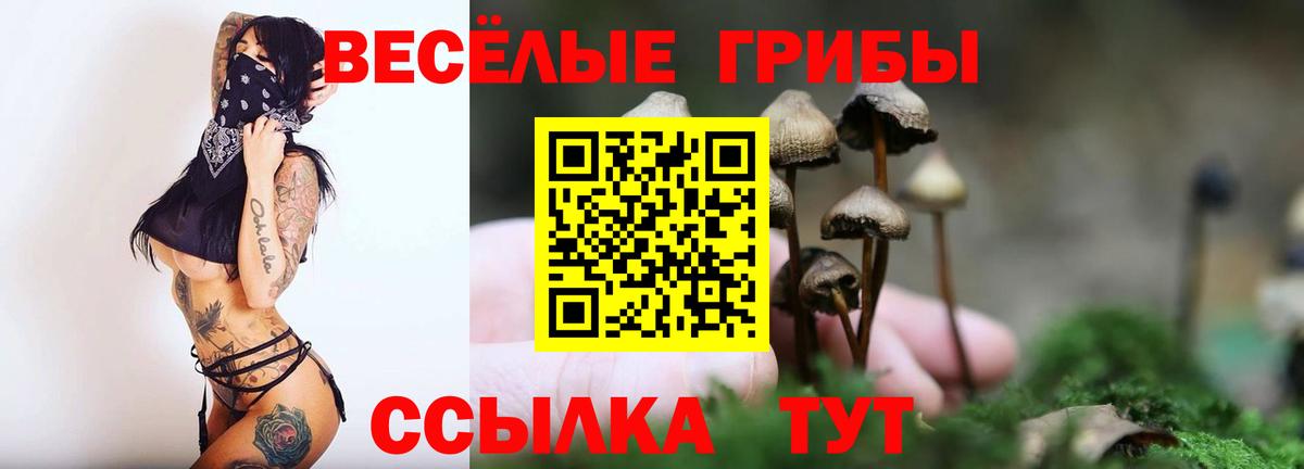 Псилоцибиновые грибы Cubensis Спасск-Дальний